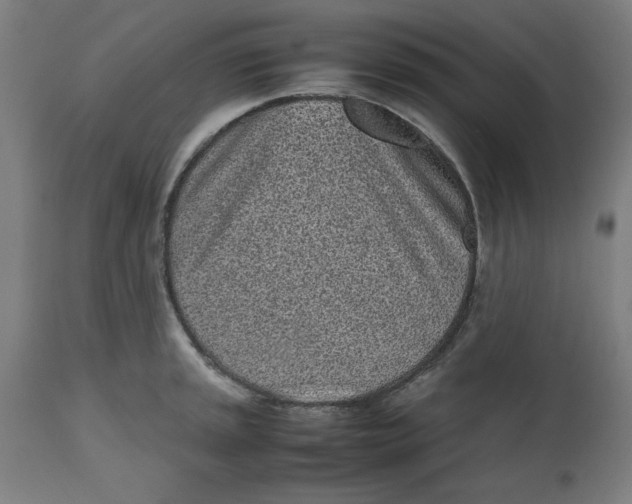 X0000112511045200909071304