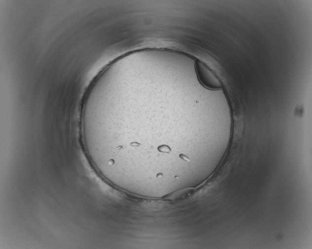 X0000112511046200909071304