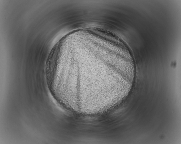 X0000112511047200909071304