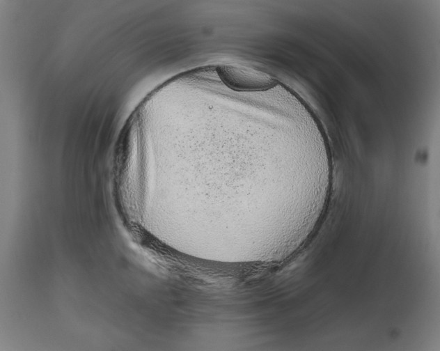 X0000112511048200909071304