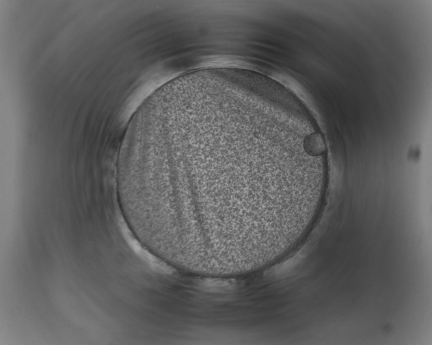 X0000112511049200909071304