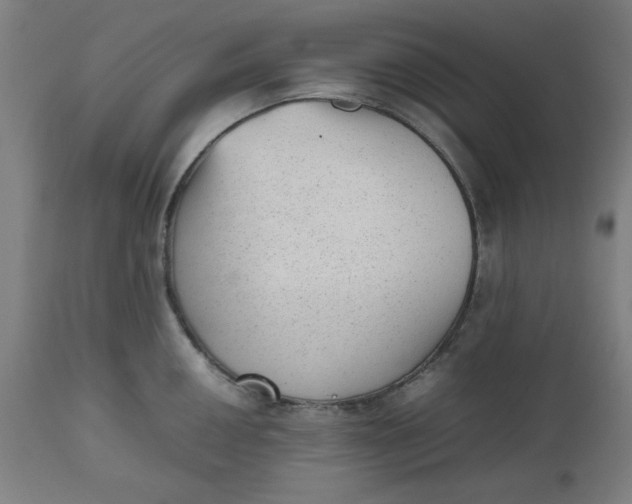 X0000112511050200909071304