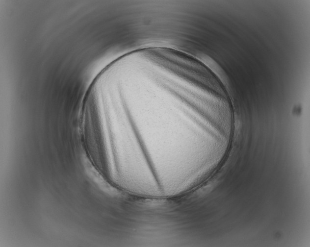 X0000112511052200909071304