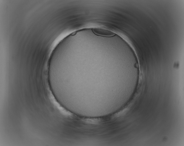 X0000112511053200909071304