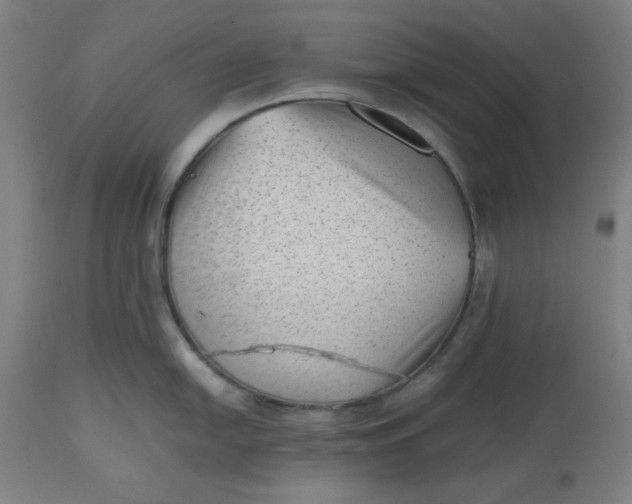 X0000112511054200909071304