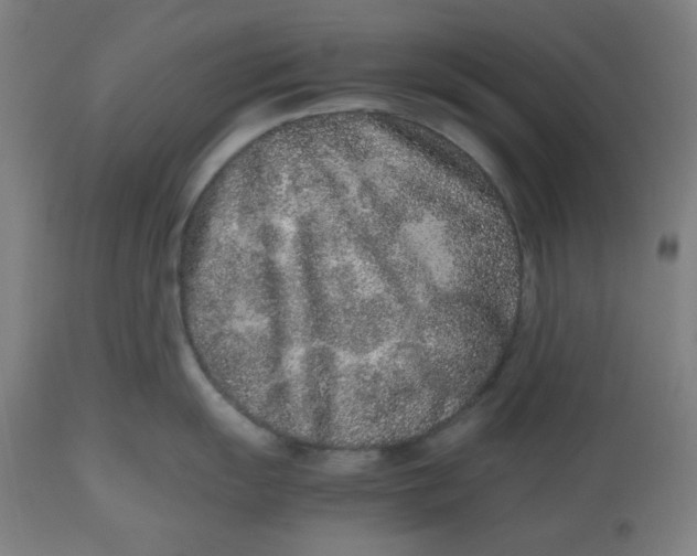 X0000112511055200909071304