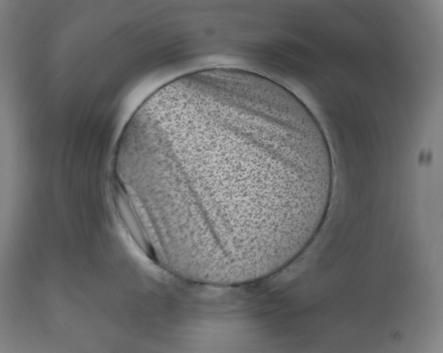 X0000112511056200909071304