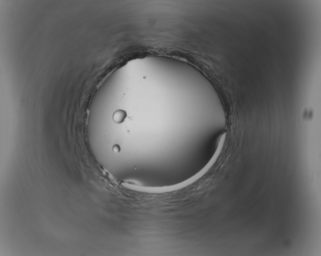 X0000112511057200909071303