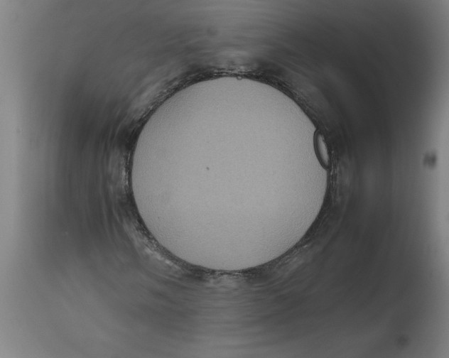 X0000112511058200909071303