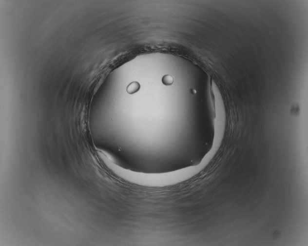 X0000112511060200909071303