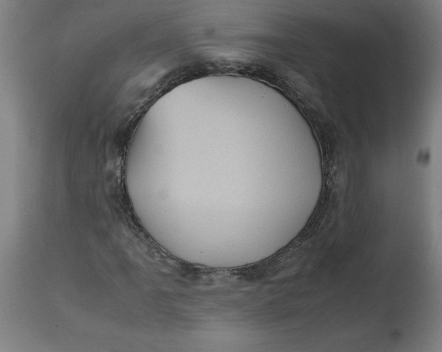 X0000112511061200909071303