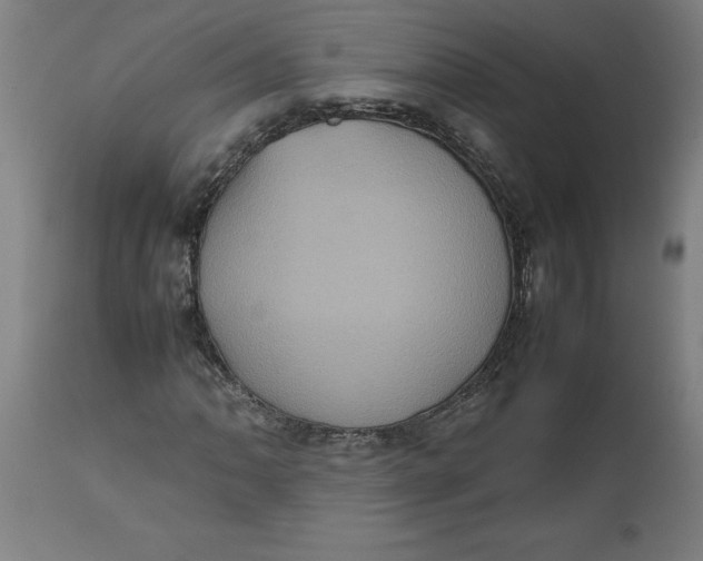 X0000112511062200909071303