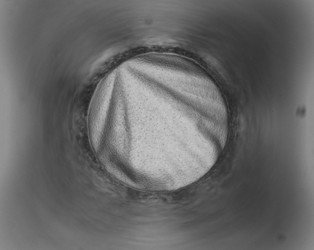 X0000112511063200909071303