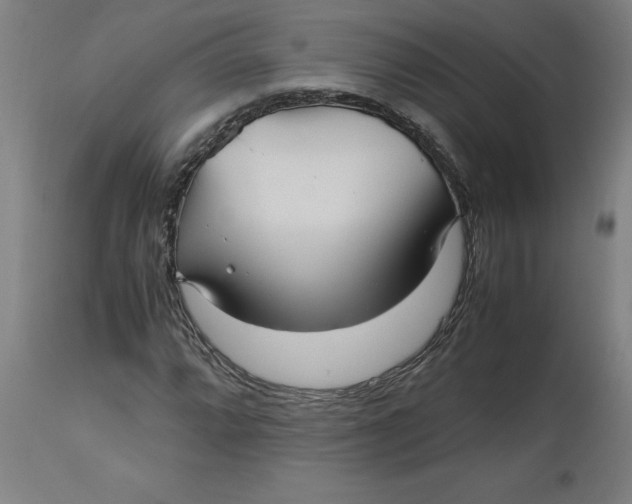 X0000112511064200909071303