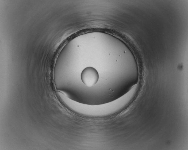 X0000112511065200909071303