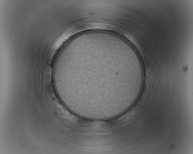 X0000112511067200909071303