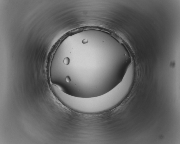 X0000112511068200909071303