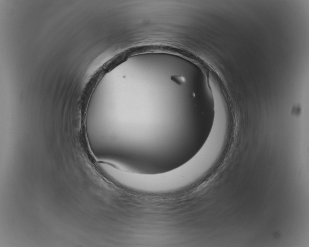 X0000112511069200909071303