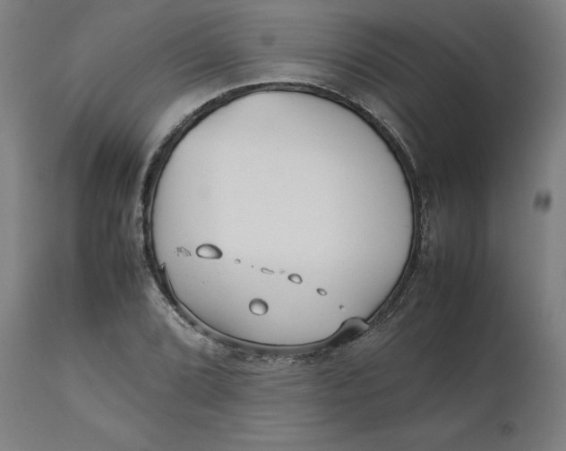 X0000112511072200909071303