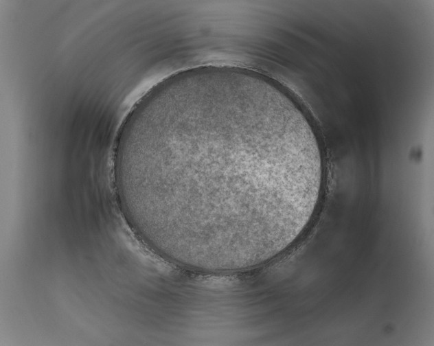 X0000112511074200909071303