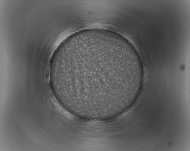 X0000112511075200909071303