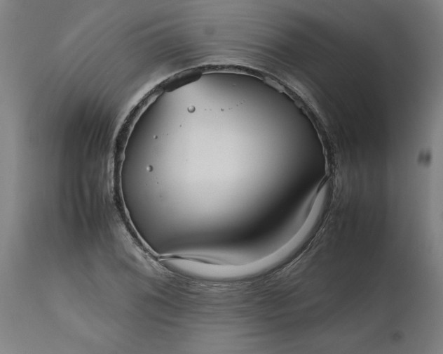 X0000112511076200909071303