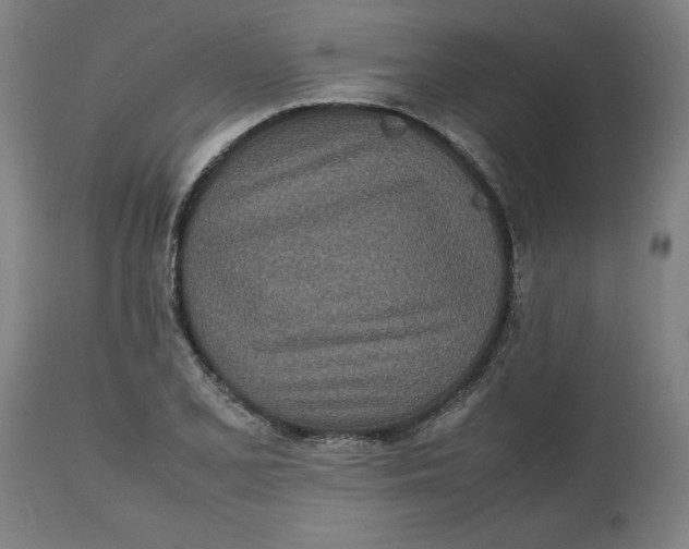 X0000112511077200909071303