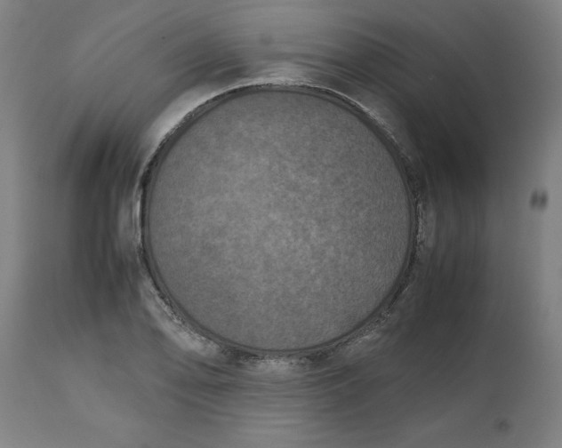 X0000112511078200909071303