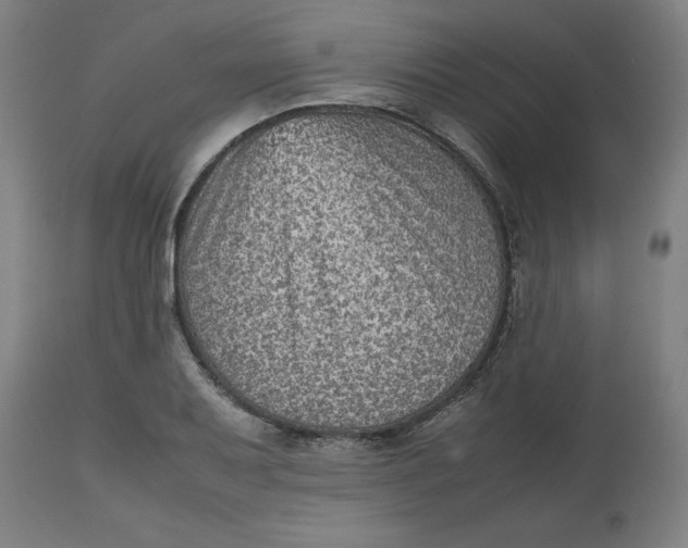 X0000112511079200909071303