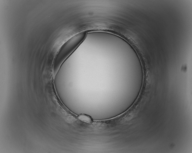 X0000112511081200909071303