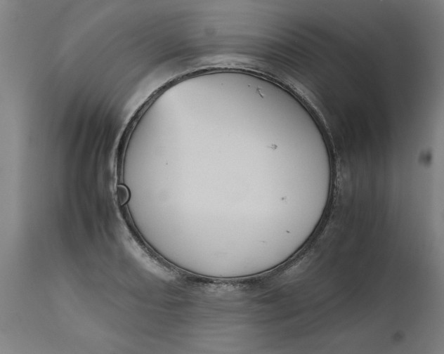 X0000112511082200909071303