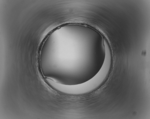 X0000112511085200909071303