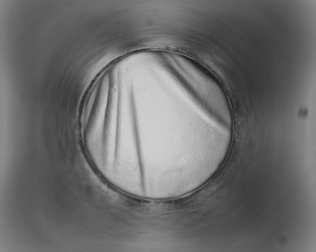 X0000112511087200909071303