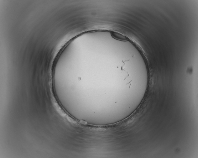 X0000112511088200909071303