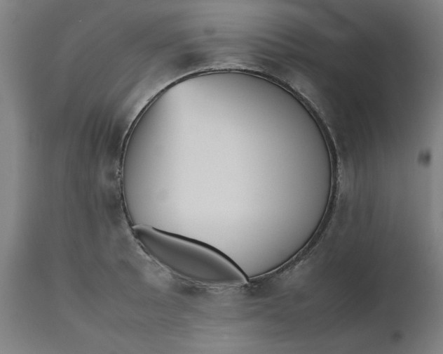 X0000112511089200909071303