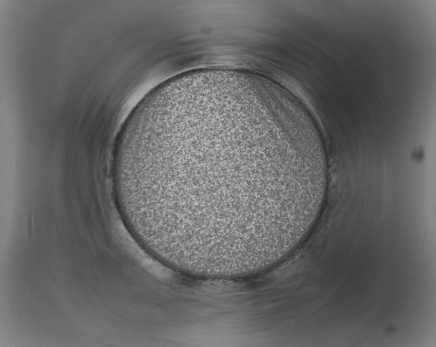 X0000112511091200909071303