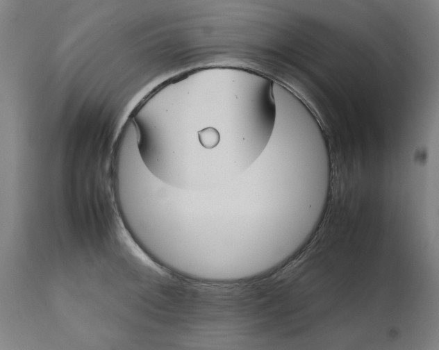 X0000112511092200909071303