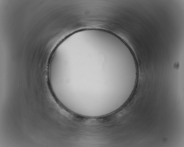 X0000112511093200909071303