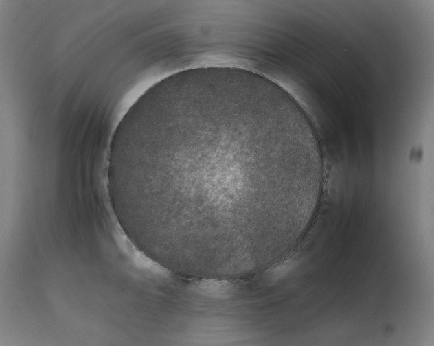 X0000112511094200909071303