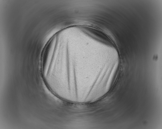 X0000112511095200909071303