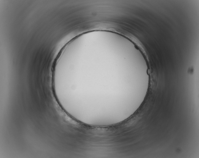 X0000112511096200909071303