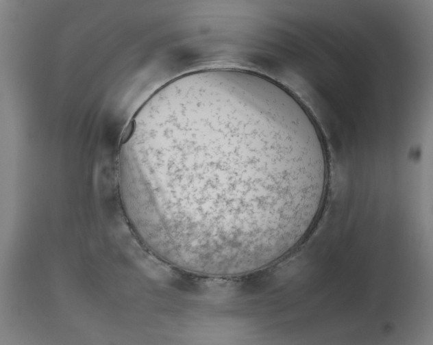 X0000112511097200909071303