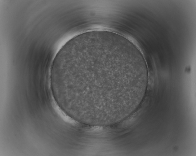 X0000112511098200909071303