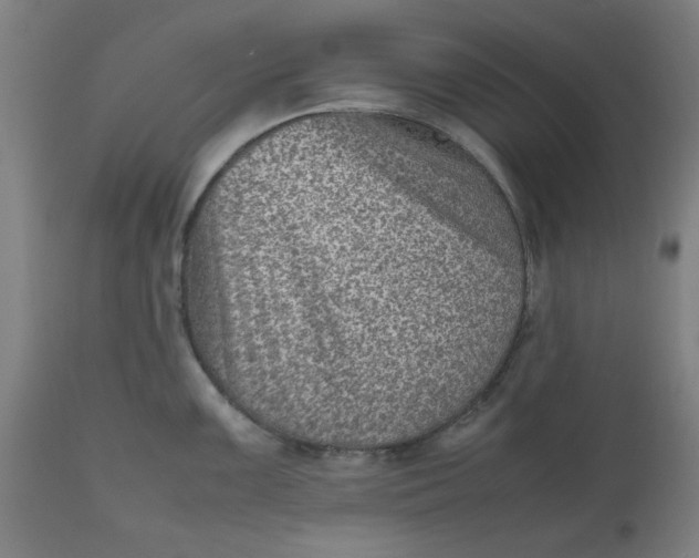 X0000112511099200909071303