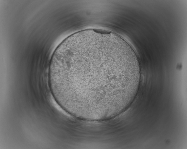 X0000112511100200909071303