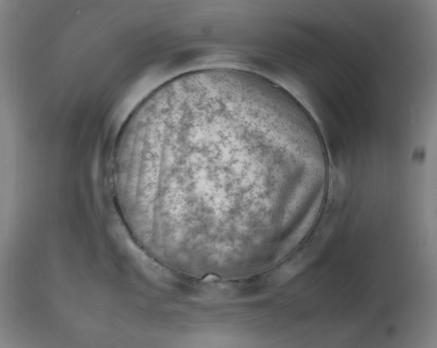 X0000112511101200909071303