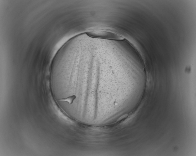 X0000112511102200909071302