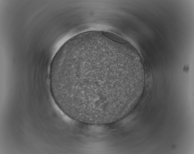 X0000112511103200909071302