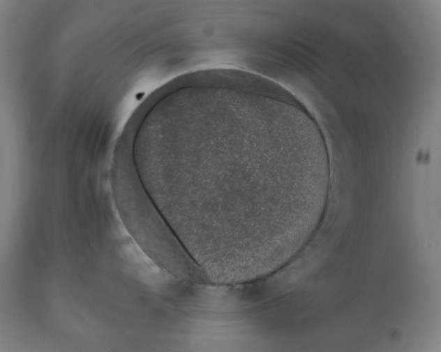 X0000112511104200909071302