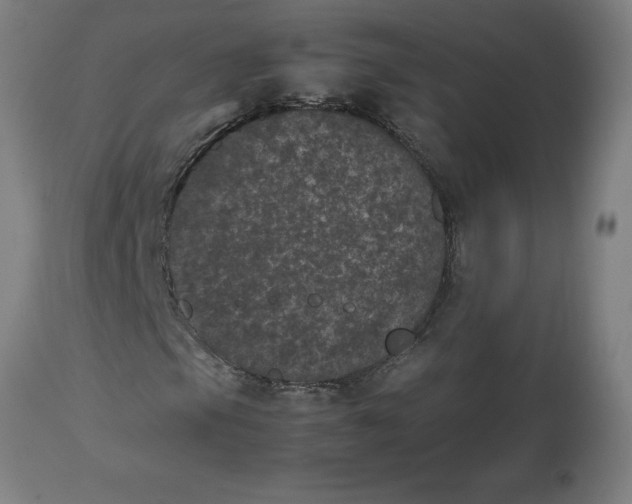 X0000112511105200909071301